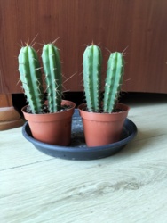 b18580e8-ea52-4fe0-9d53-747064746193