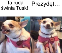 083e9e01-3f7b-4581-8f44-177217137683