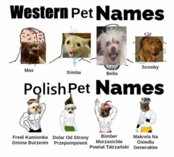 b0e76d2f-dbf6-4f21-9a29-9d4333658e28