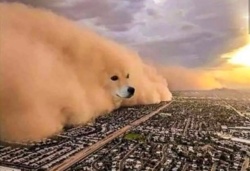 5f9157a4-cd59-4e6b-86f8-ab87b4308e37