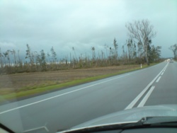 e2aa7c71-a1b5-418d-8b78-f83de5d80fe3