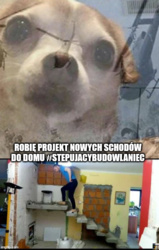 1712911b-1bc8-4886-8f1c-d5beeed19cd7