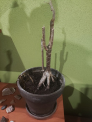 b82c316b-9d17-4fc4-947f-5e495d48f8ca