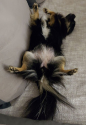 15b87272-7b15-43dd-8a09-d7f4d64a6968