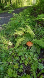 c9a0f5ca-a422-43cb-bba8-c3598f2acb93