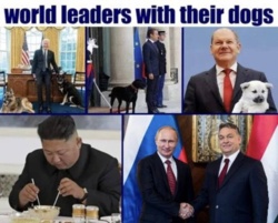 4e4f94a3-d7b9-40db-91ca-e6a724d3b1f9