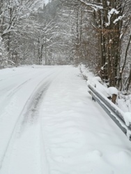 df6203f6-ca8a-45ff-883c-bf8fc96015bb