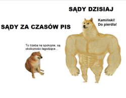 2032c286-7aa5-4f07-b12f-1870cef7a32e