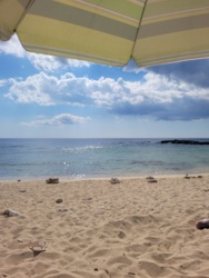 beb6f304-baee-4980-a781-039e9e53c2aa