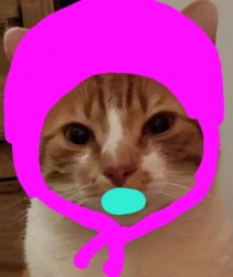 a2935c32-d5b0-45cb-aa27-9b1b3b882d9c