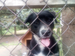 46f3a653-77c0-4bcf-a6d7-84bccb669088