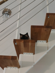 02e2f1e4-cba2-42eb-9b7f-be0f5d9619c5