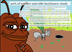 39a50afe-2b63-4053-939e-87ad36c14ec9