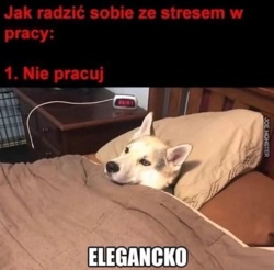 f5d024bc-f46c-400e-aeed-e9e3c9a65195