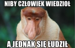 d882bdb3-0aea-43e1-bda4-d940dc34cfbb