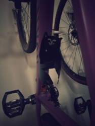 05b7817a-0228-444c-bd12-a44d88fd91f4