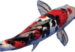 2df9bf06-5696-4724-9768-6de326cdd132