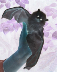 6b7d24a8-ef2b-4b49-975f-3f4e984538cf