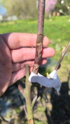 adc16fb3-7da4-4aea-b9ae-0a1aacb36a85