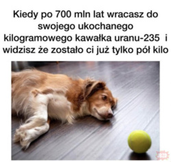 05fb6799-f0d1-4e72-af19-2b4707736f1a