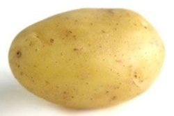 0f554b49-4470-47f5-a1e1-10116485a8a9