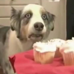 2e40107a-f7c4-4576-b08e-841bd532a31d