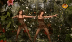 af339c3a-6b29-4cff-8017-10144facef9f