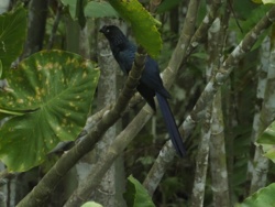 206ddd30-a263-4d00-b43f-66851124e719