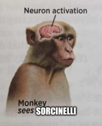 f84f3861-6217-4b82-b407-7a8d4204e9f7