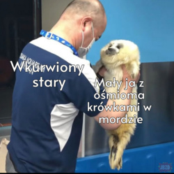 78585b08-58ab-4d7d-a962-666e9cd4f356