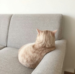 28be8fdb-0456-4073-9a93-d64f828f64b1