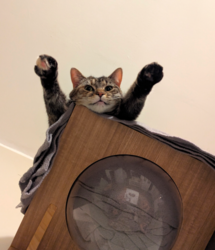 a283ab3d-1d53-4e71-a728-2ce6e88cdd2a