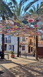 5c0b9cf5-8995-4feb-b3bf-ae8bfc13eb05