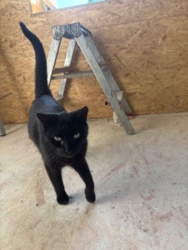 51f18f7d-654d-4f25-8e1b-ca0faded1c3a