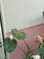 478e86d3-819f-4f8a-8dc8-0b6a77574c32