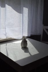 9fba4f3e-d733-40af-8c73-5fe06734d21b