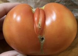 4f73e452-1e82-42d6-8b82-eb4205c04896