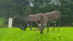 9c838955-068c-451a-ac79-e52c8cfbc3cb