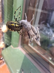 31fd49e1-0e1e-4e71-b55d-78986a77d3d7