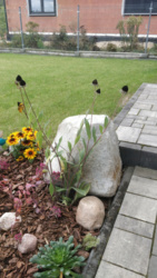 f8e8eaea-4477-48d2-ac79-9fd78c3ca220