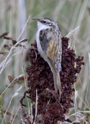 240e80a3-0147-4123-8930-5a80c95c4008