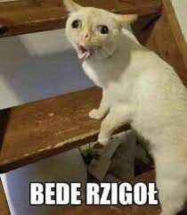 3b0a6e6c-a184-470b-87f0-c4d26f0b219b