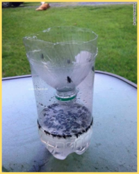 2839b0e6-17ea-4113-b8fc-9de183db0bcc