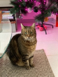 35b5af2c-8ac6-45eb-a5e9-0ba30ff5acfa