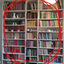 c0ede735-bbb5-4e1b-945b-8bf0b21ebaaf