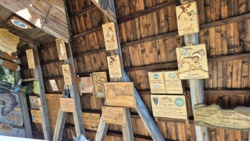 fc86a2e0-04f3-4c06-9861-d5010f03fc04