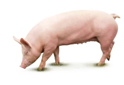 7363d597-97cb-4dcb-906e-a403768447ee