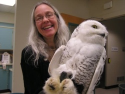 8cd403ee-57f6-4ba2-9db6-9842b0aadd4d