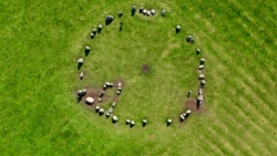 710e12c6-4877-465d-86b0-ca0364eb0863