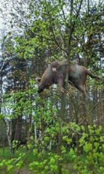 e3a18ebf-5211-4b86-b3fe-6e3440a3e518